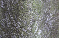 Sutton Gault fibreglass roof work